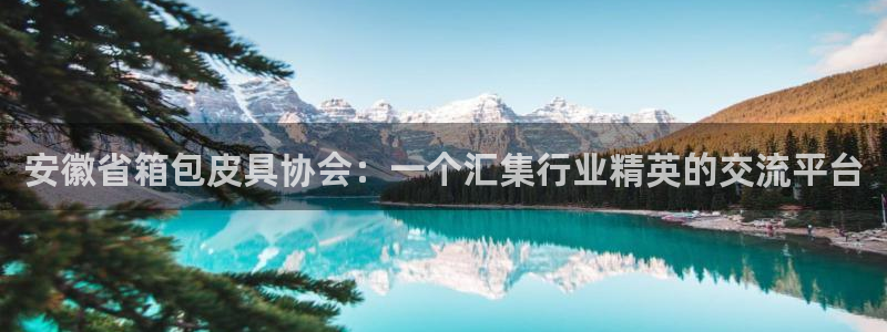 辉达娱乐加q75775稳定